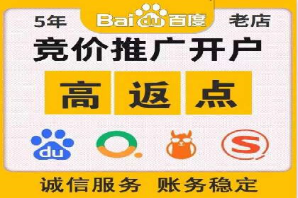 SEO与SEM优化案例：打造行业领先品牌